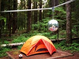 camping disco